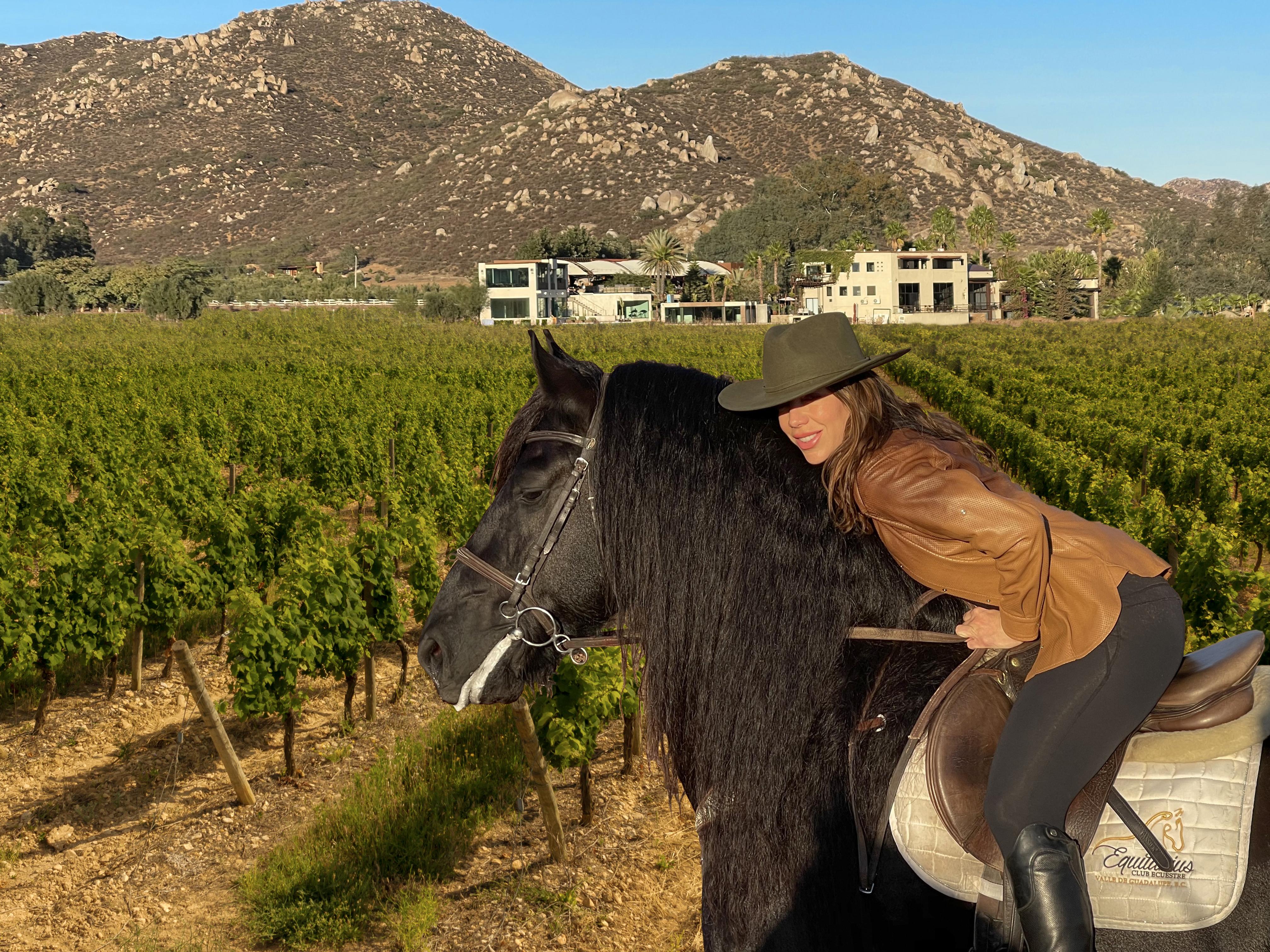 Hotel Boutique Valle De Guadalupe & Spa Екстер'єр фото