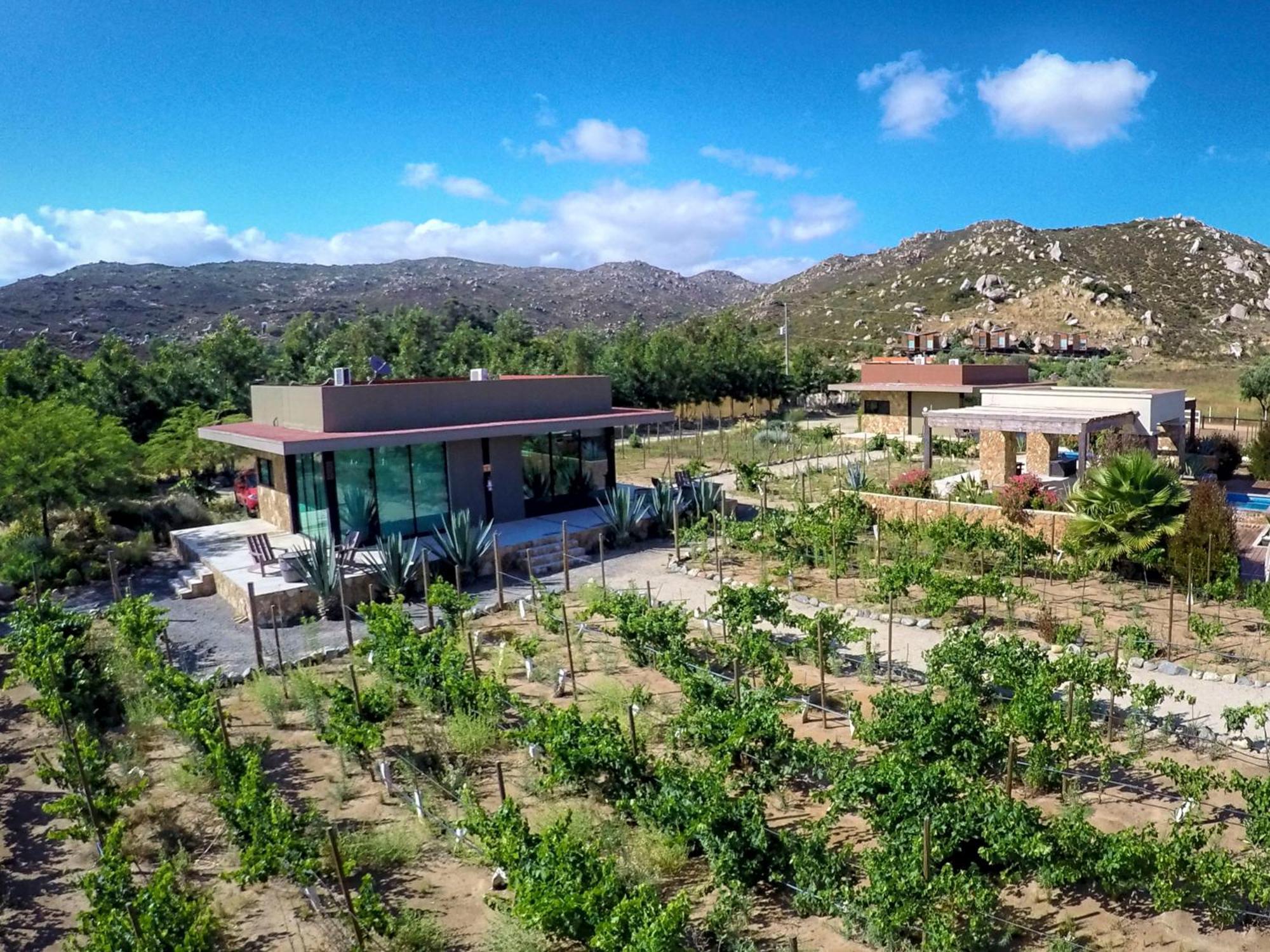 Hotel Boutique Valle De Guadalupe & Spa Номер фото